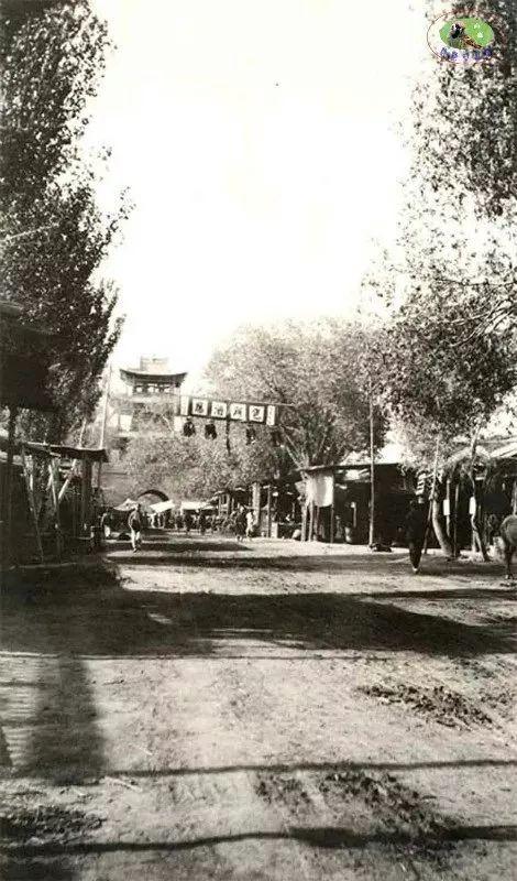 新疆,秘境之美与无限商机探索